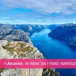 Flåmsbana fiordi dall'alto